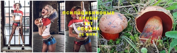 а пвп мука Белокуриха