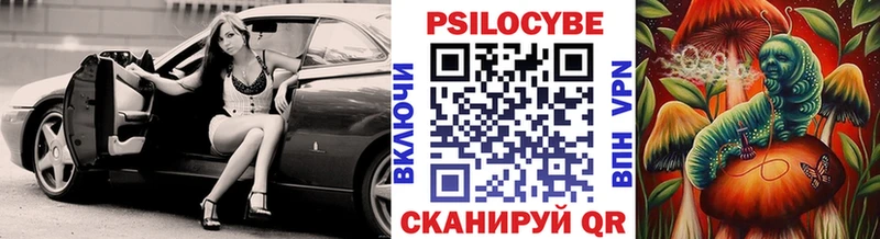 где продают наркотики  Белая Холуница  Псилоцибиновые грибы Psilocybe 