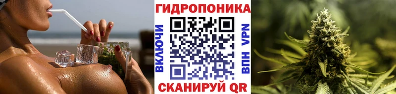 Бошки Шишки Amnesia Белая Холуница